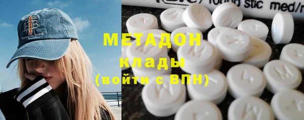 сатива Карпинск