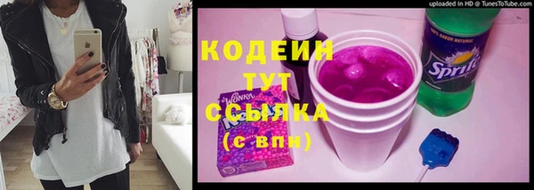 сатива Карпинск