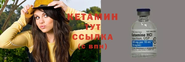 сатива Карпинск