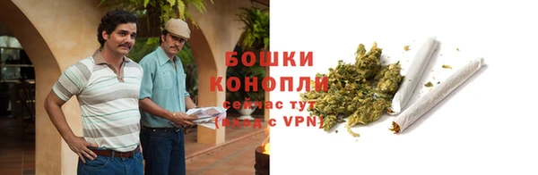 сатива Карпинск