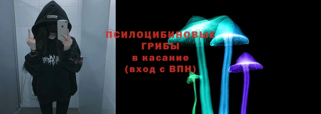 spice Карталы