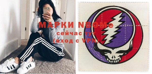 сатива Карпинск