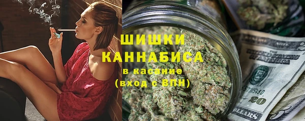 сатива Карпинск