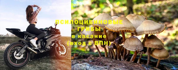 spice Карталы