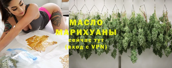 сатива Карпинск