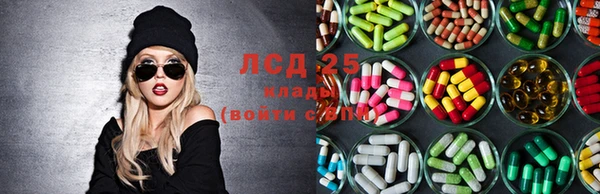сатива Карпинск