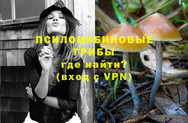 сатива Карпинск