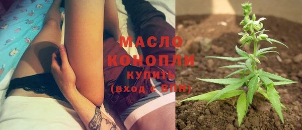 сатива Карпинск