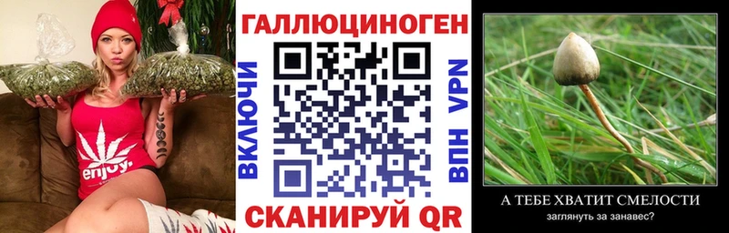 Купить закладки  Тверь  Галлюциногенные грибы ЛСД 