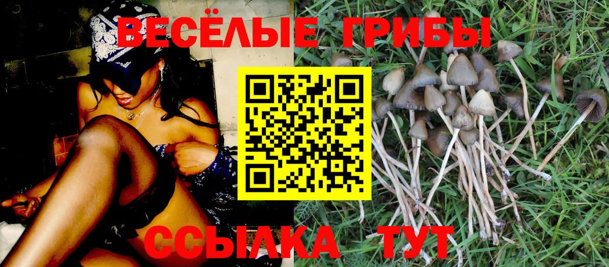 Псилоцибиновые грибы MAGIC MUSHROOMS  Вход с VPN  Тверь 