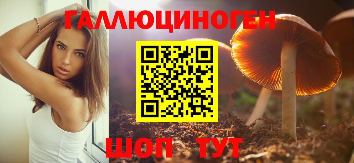 Псилоцибиновые грибы мицелий Тверь