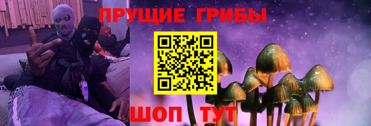 Галлюциногенные грибы Magic Shrooms Тверь