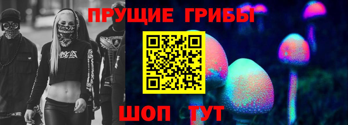 Галлюциногенные грибы Psilocybine cubensis  Тверь 