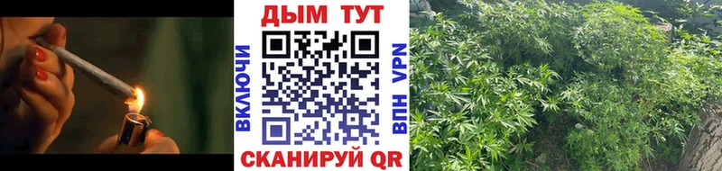 Бошки марихуана SATIVA & INDICA  Купить закладки  Тверь 