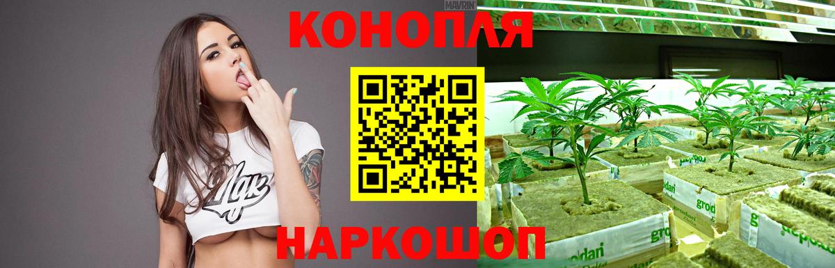 Шишки марихуана Amnesia  Бошки марихуана MAZAR  Тверь  Канабис White Widow  Каннабис OG Kush  Вход с VPN 
